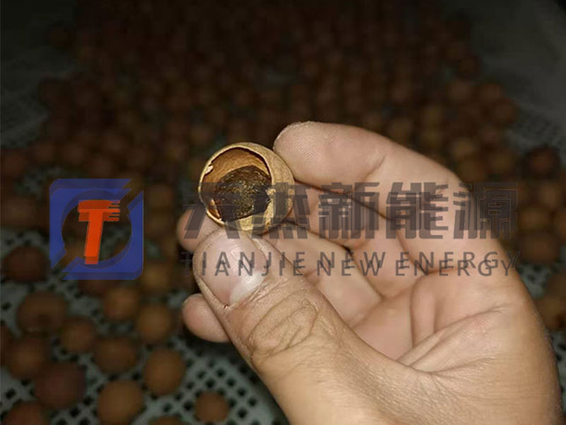 隆回龍眼烘干機(jī)客戶實(shí)拍現(xiàn)場(chǎng)